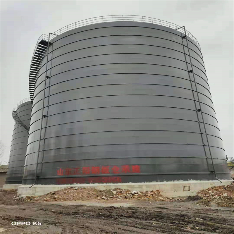 和舍镇3万吨大型钢板库