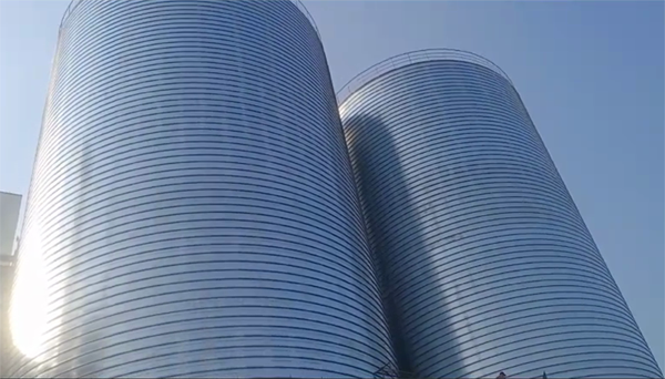 和舍镇2座混凝土高架卷板仓